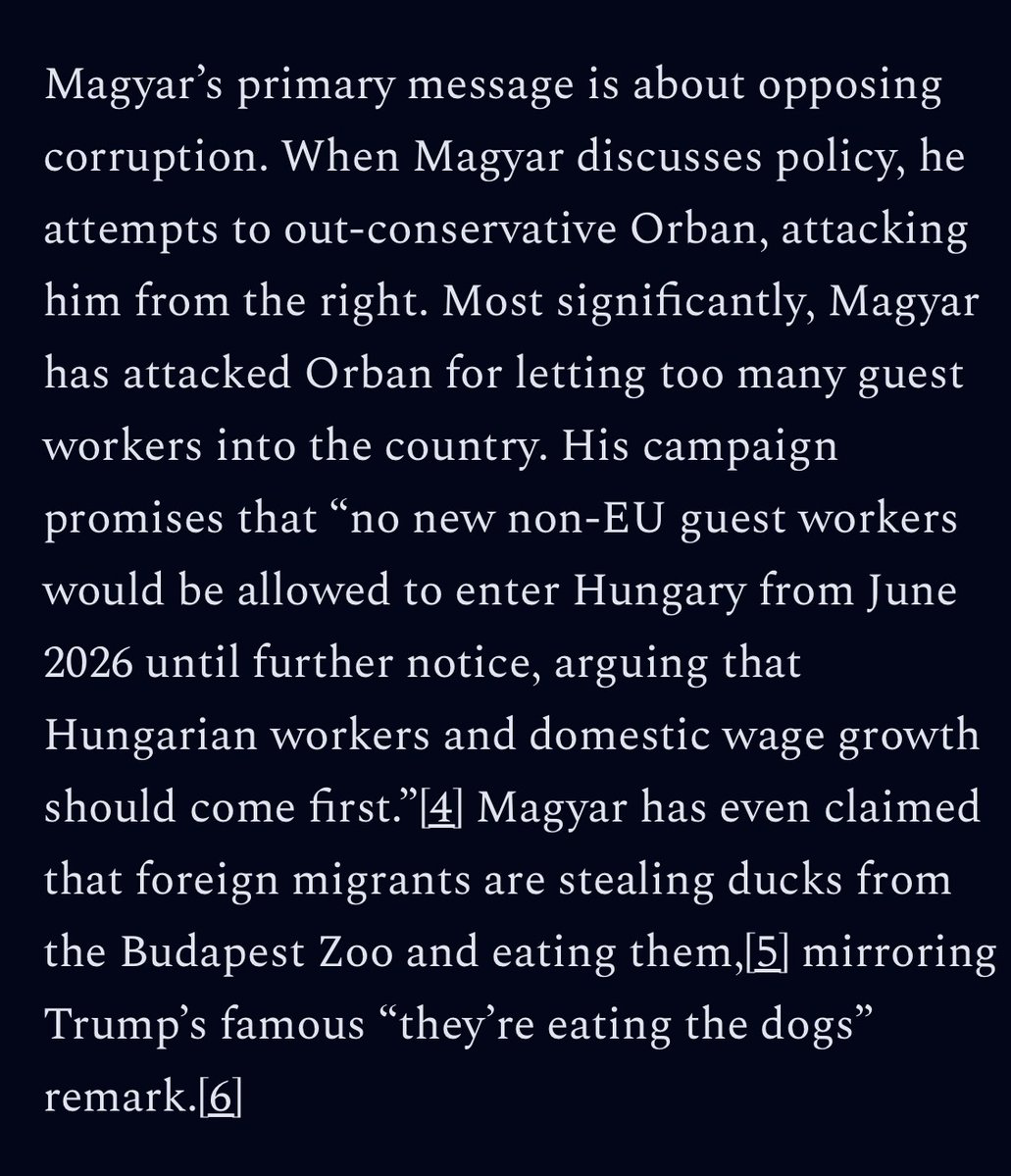 Evan Draim tweet media