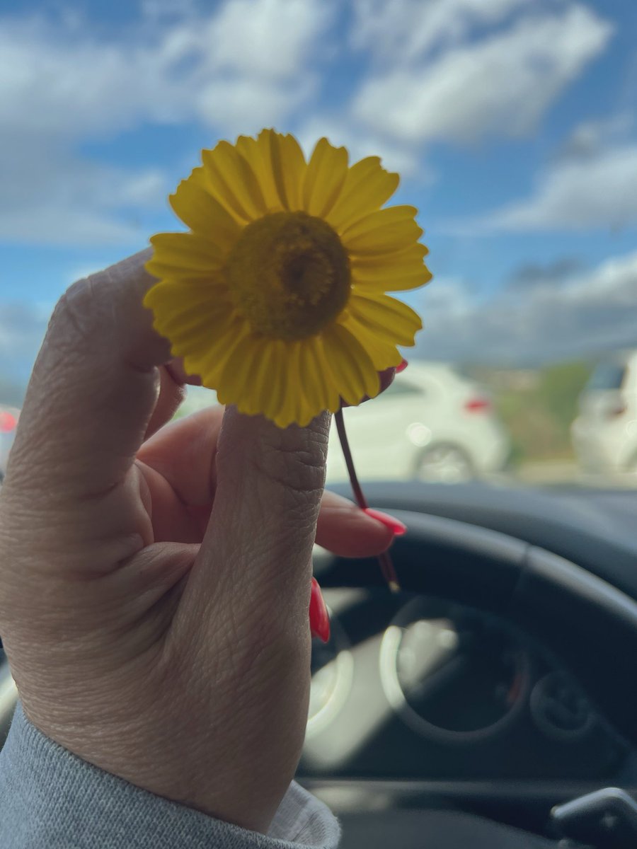 aniclA🌸 tweet media