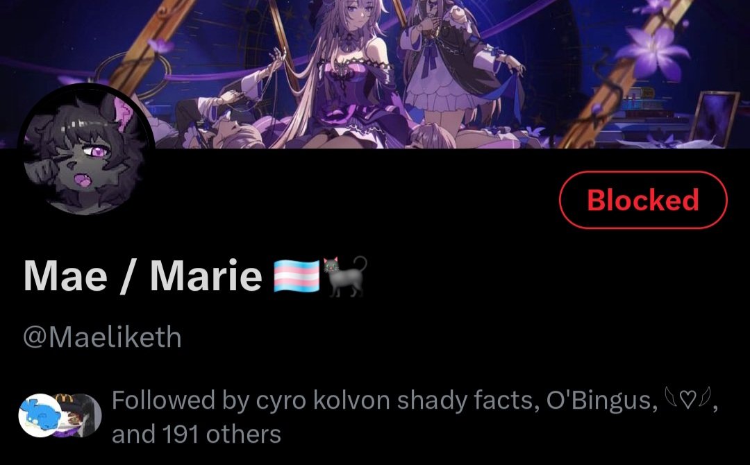 Mae / Marie 🏳️⚧️🐈⬛ tweet media