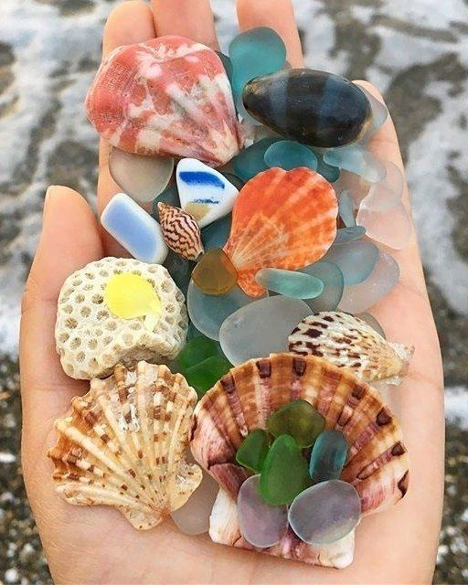 Jody Rivers tweet media