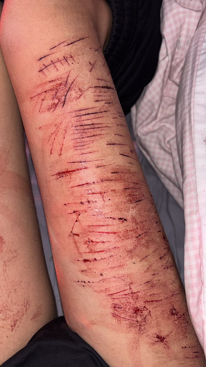 ˚⋆𐙚｡Kirumi of shedtwt 𖦹.ᡣ𐭩˚ tweet media