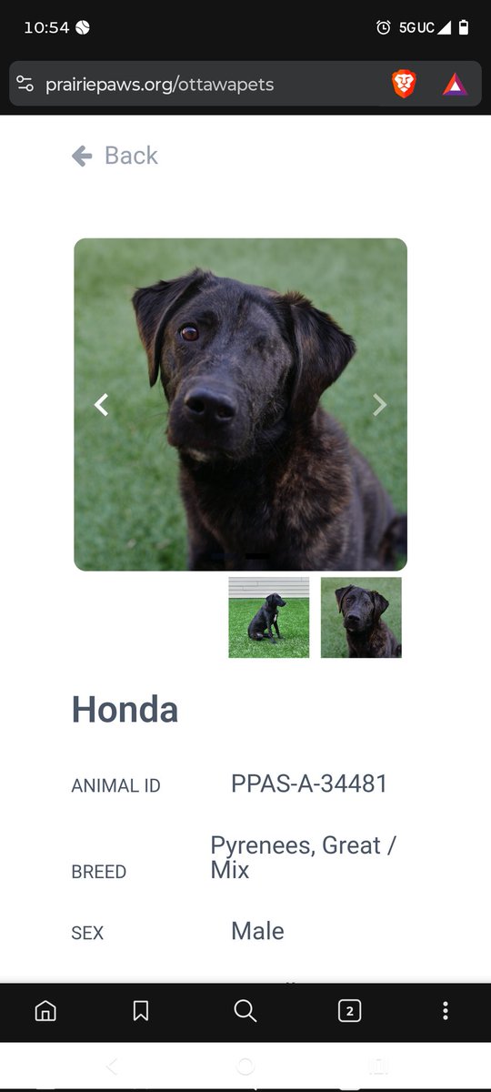 Absolute Taters!! tweet media