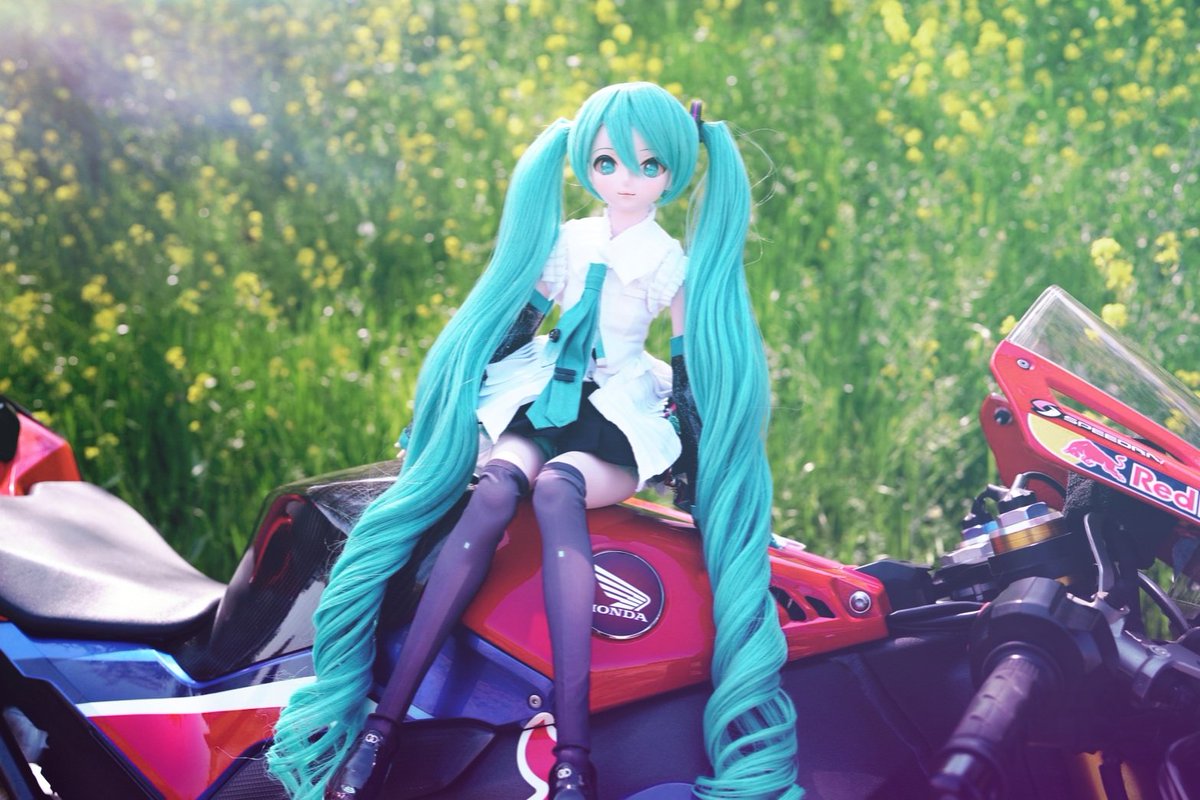 カニちゃ🦀 tweet media