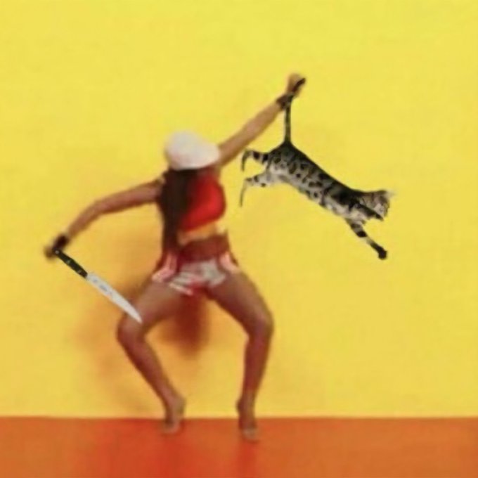 Bizu ⚝ tweet media