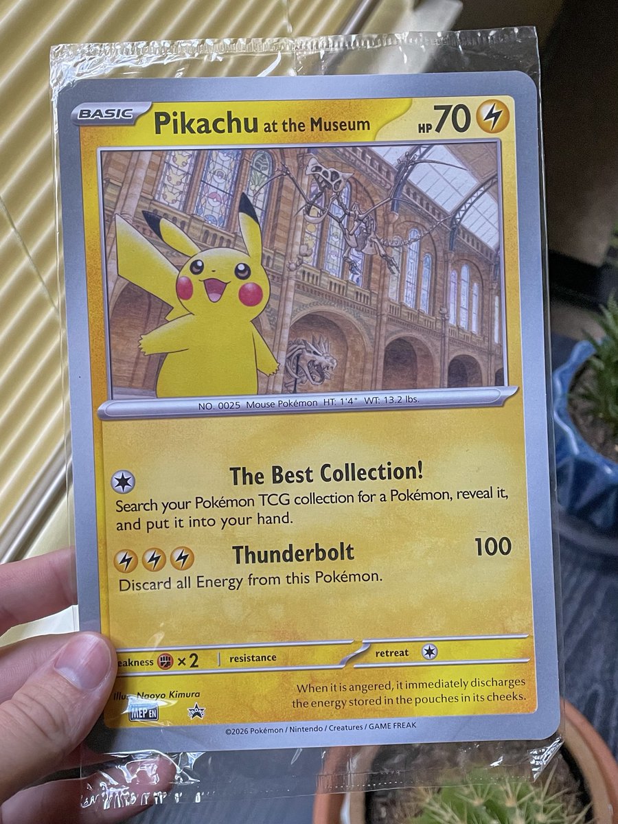 PokéCardsDaily tweet media