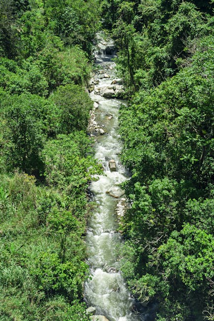 Brett Roberts tweet media