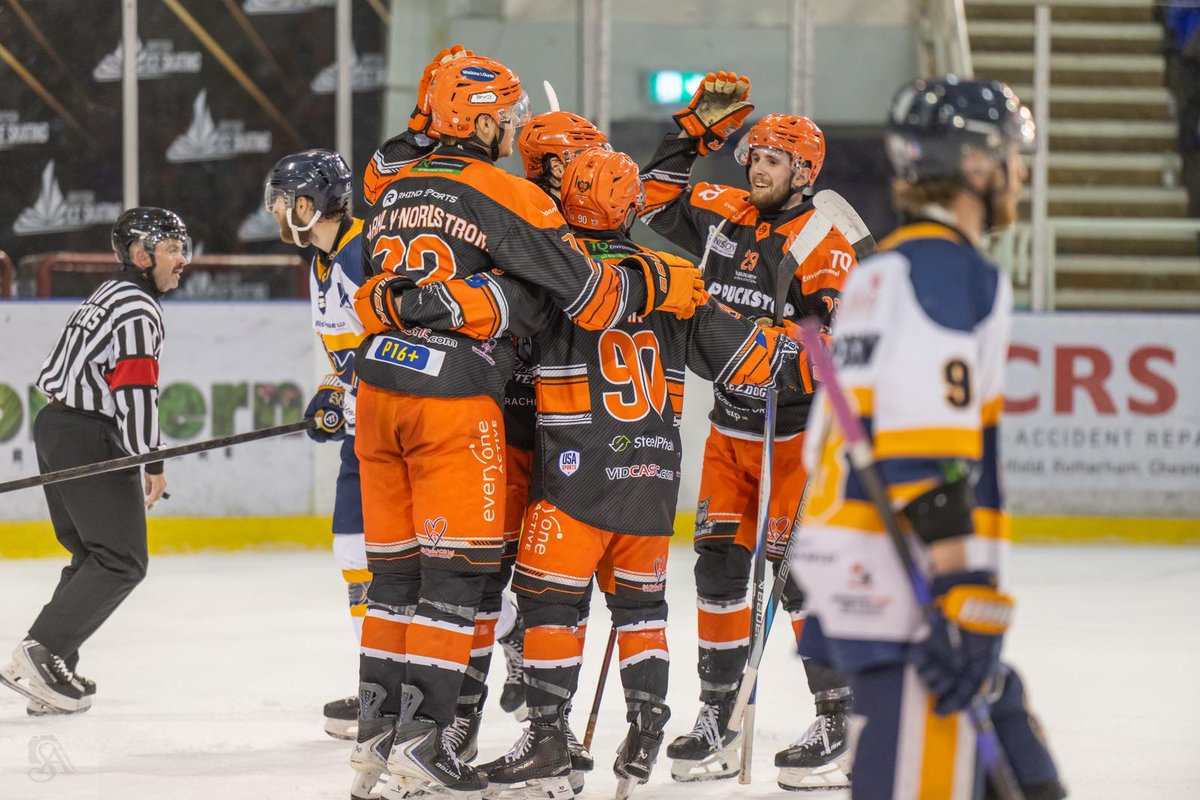 Puck Stop Sheffield Steeldogs tweet media