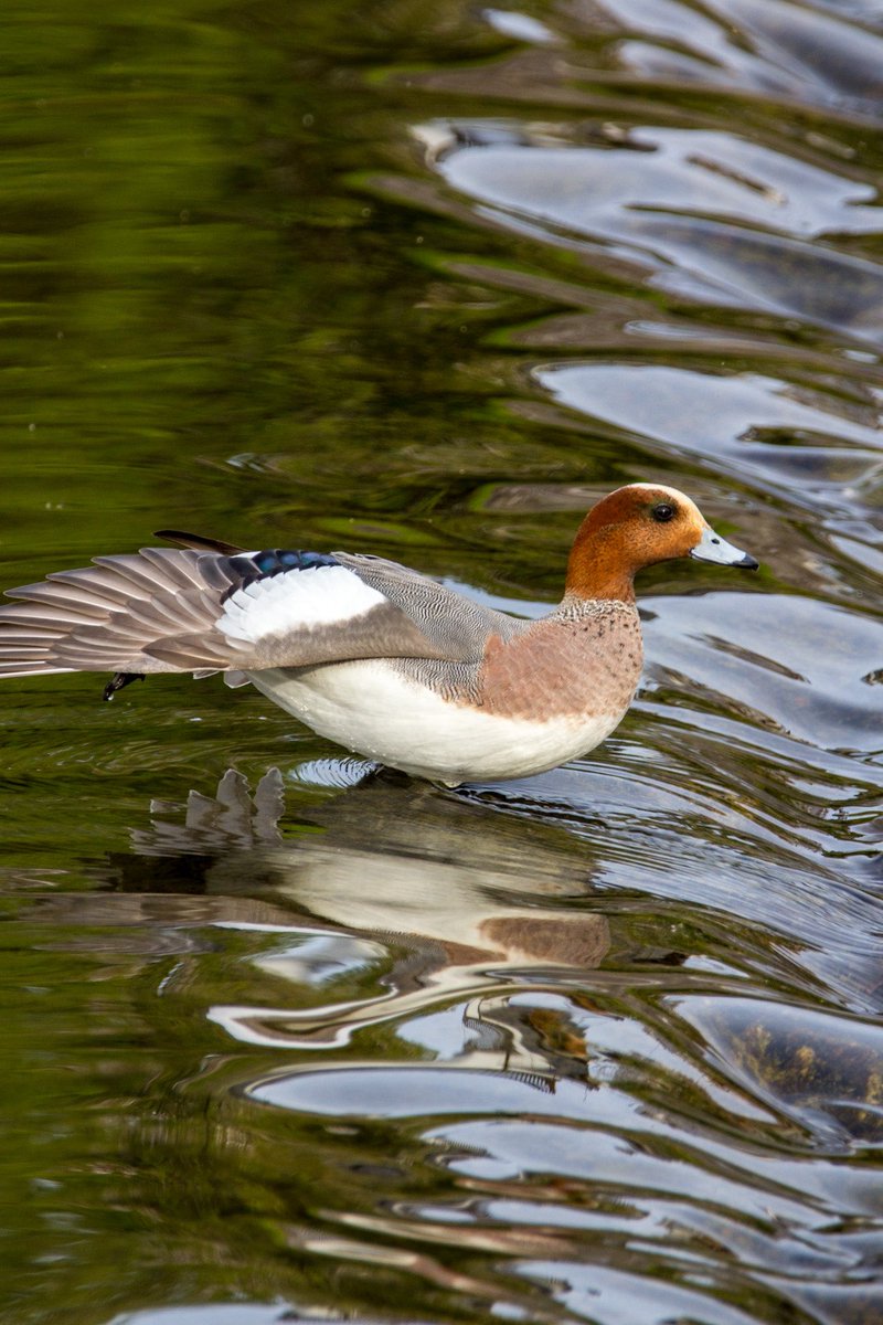 天橋 める🔻 tweet media