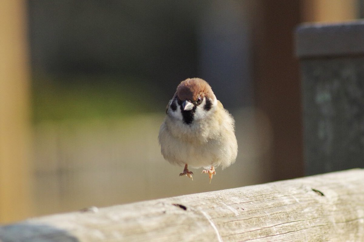유기농똑똑이 tweet media