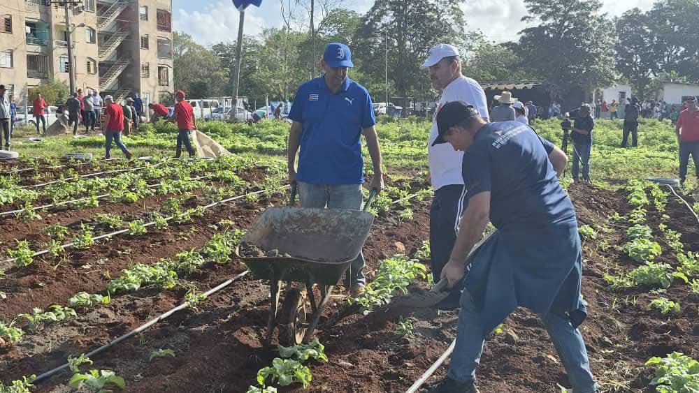 Misael Rodríguez Llanes tweet media