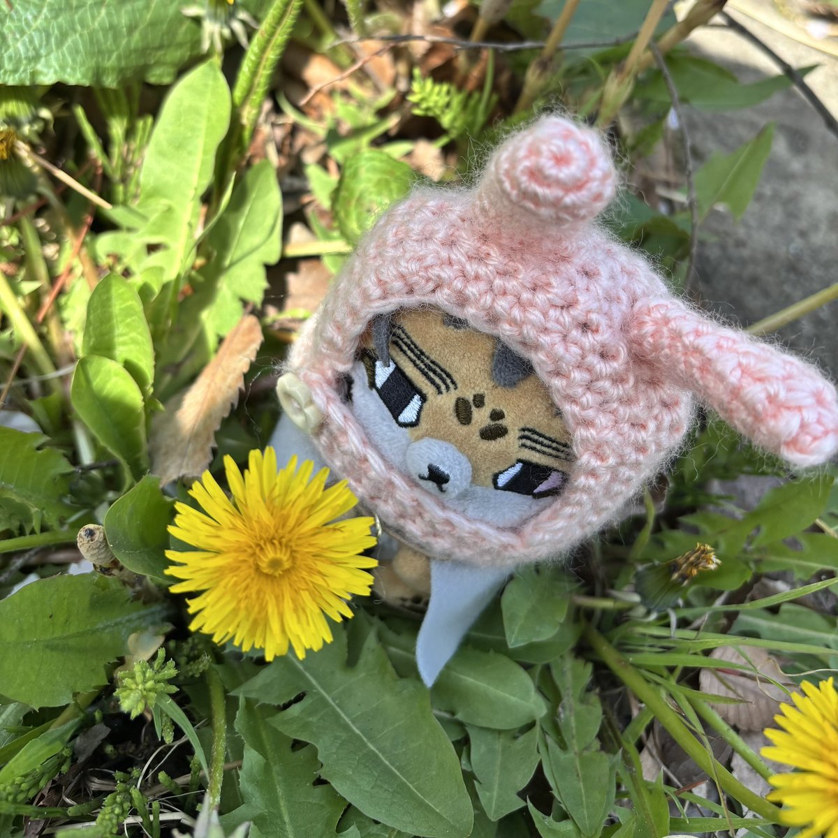 シモネー（暴れ垢） tweet media