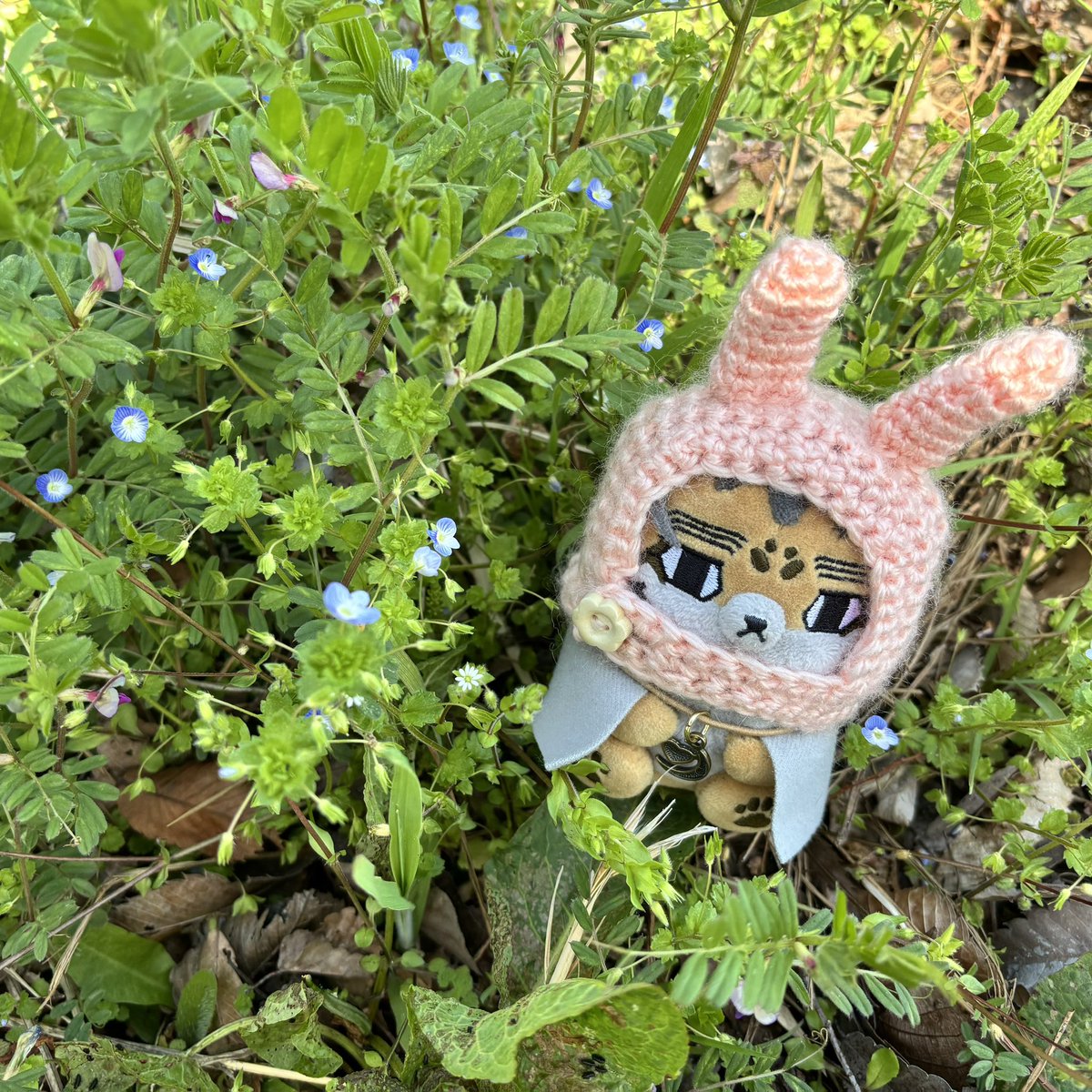 シモネー（暴れ垢） tweet media