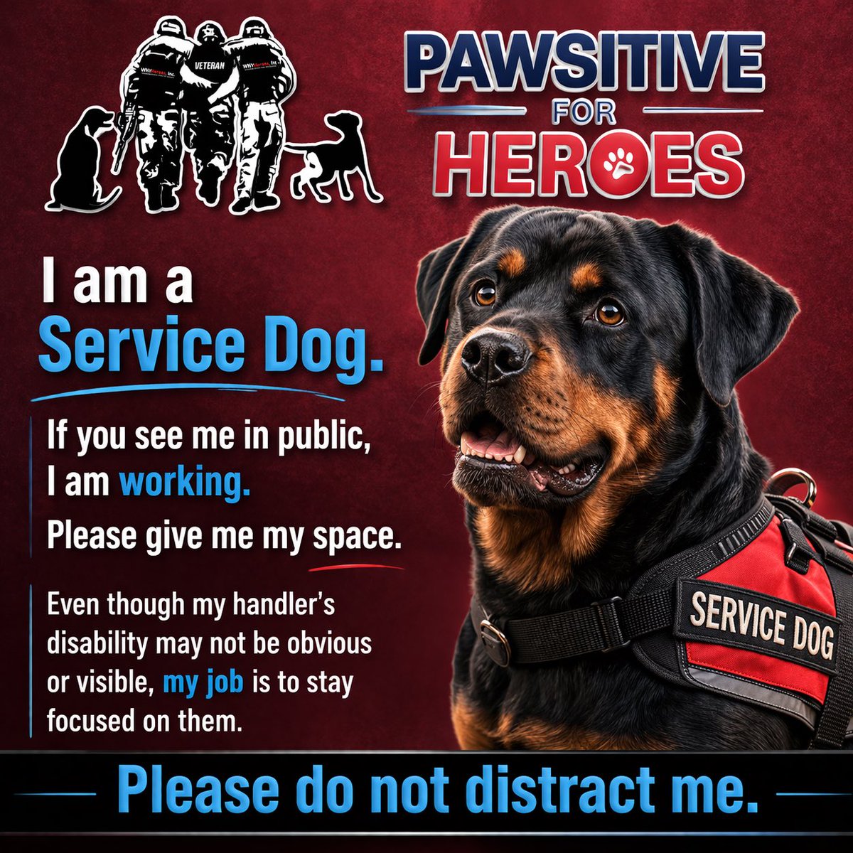 WNYHeroes's tweet photo. https://t.co/1TkEH7cxxG