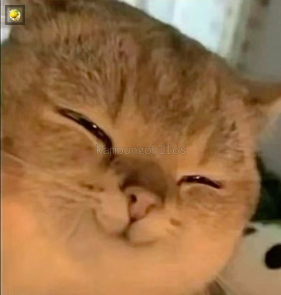 Mamang Lemonade Fess tweet media