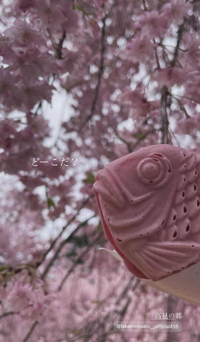 coffret_cafe ( #コフレカフェ )ならまちカフェ 奈良カフェ tweet media