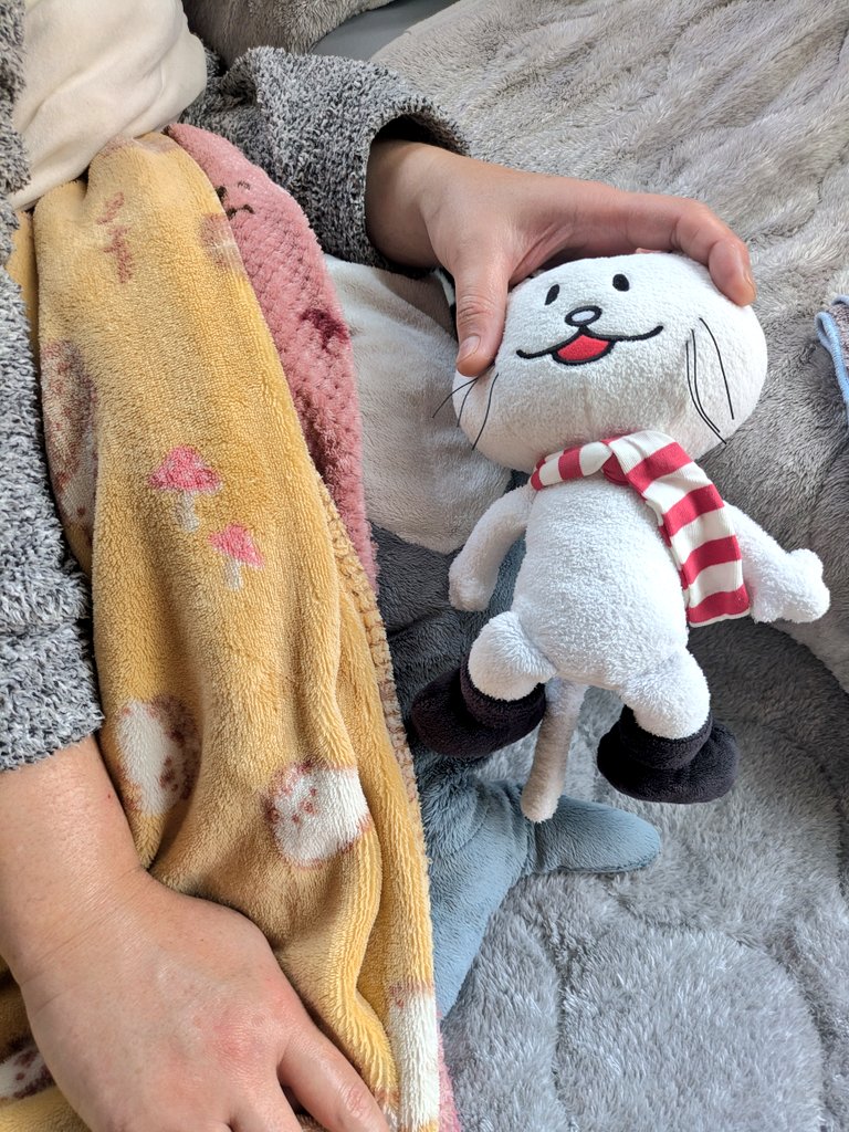 しゃけた🍞ライブ枯渇 tweet media