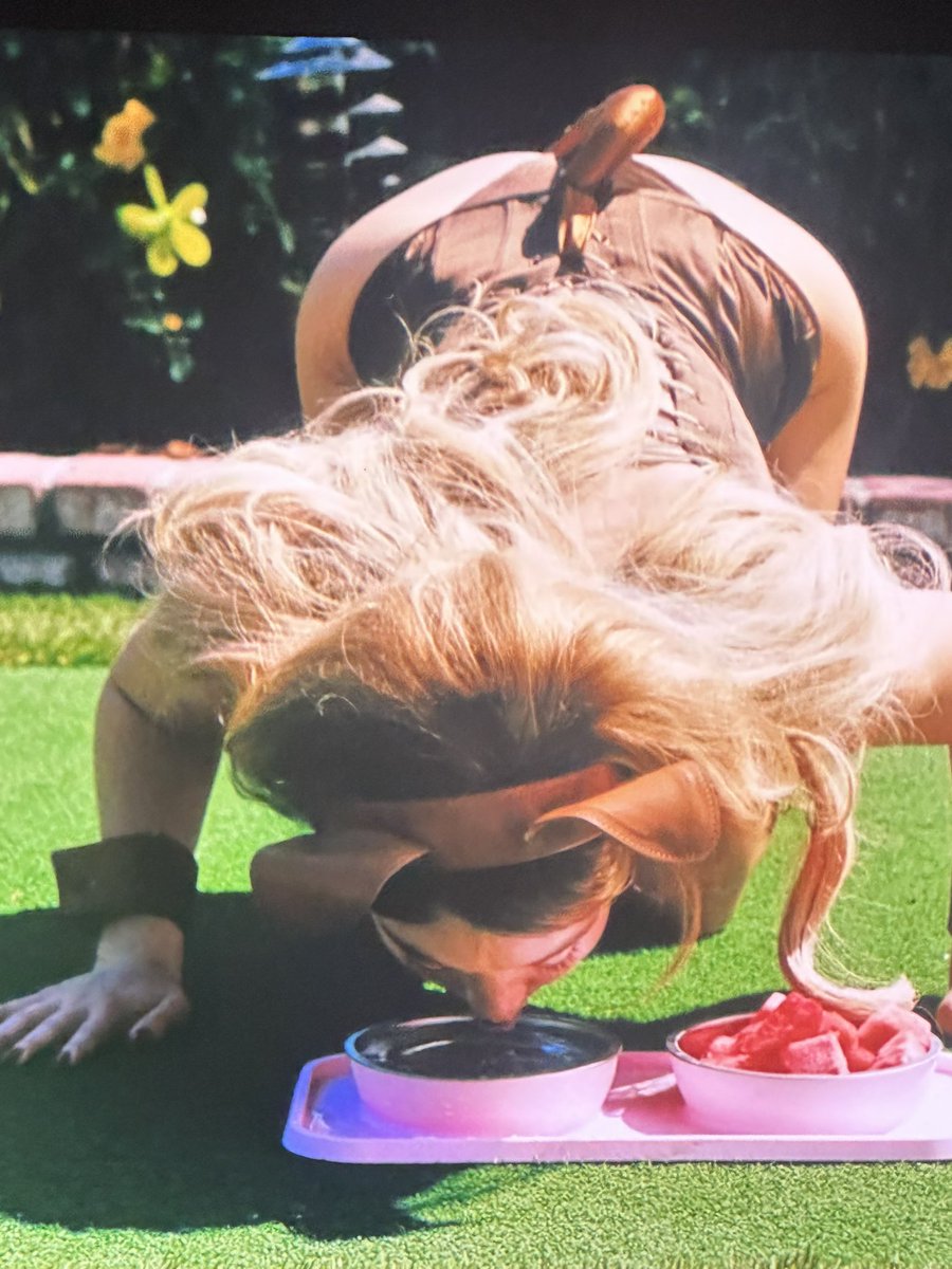 Chet Kavanaugh tweet media