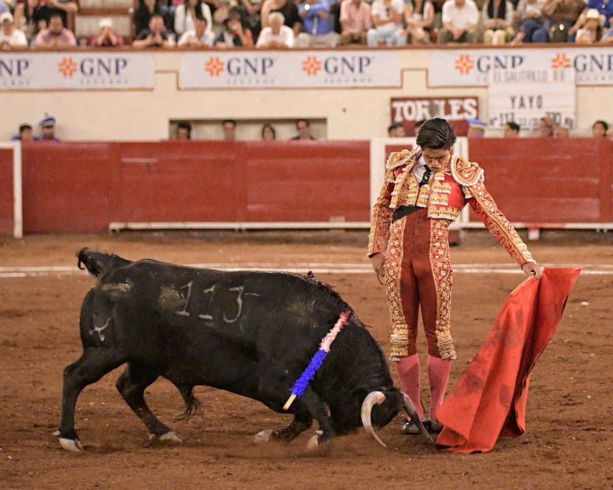 Monumental de Aguascalientes y Plaza San Marcos tweet media