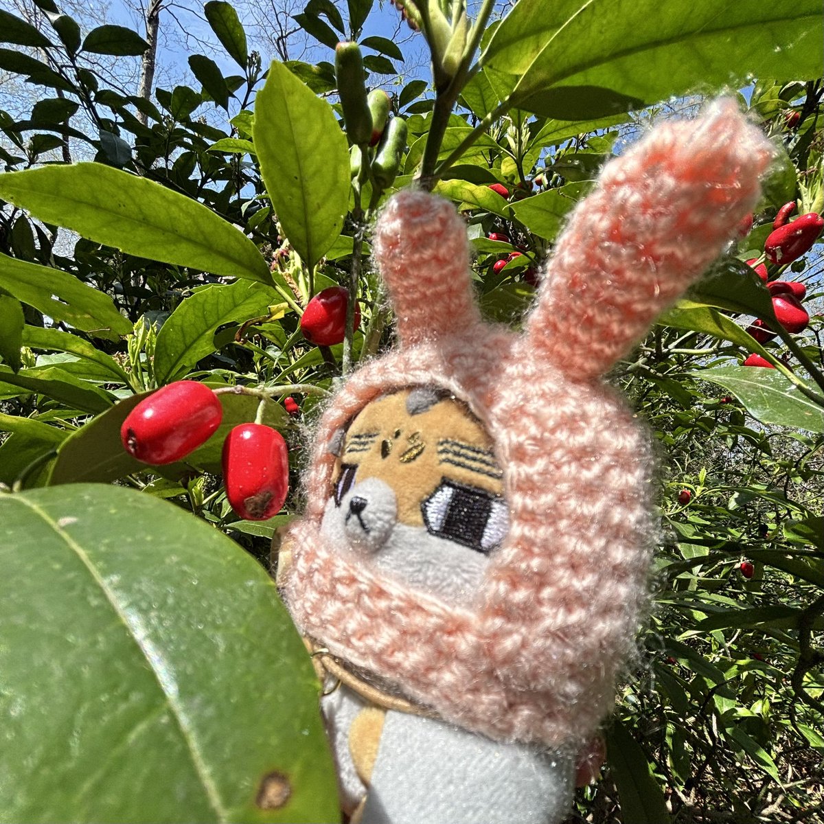 シモネー（暴れ垢） tweet media