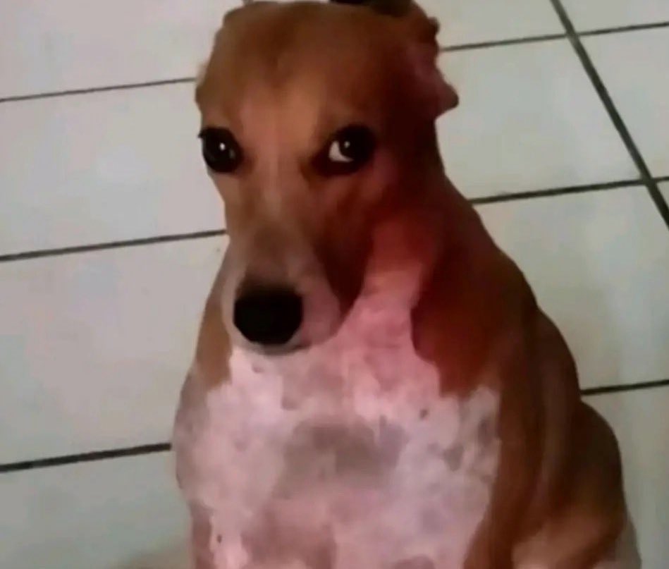 objects in mirror are closer than they appear tweet media