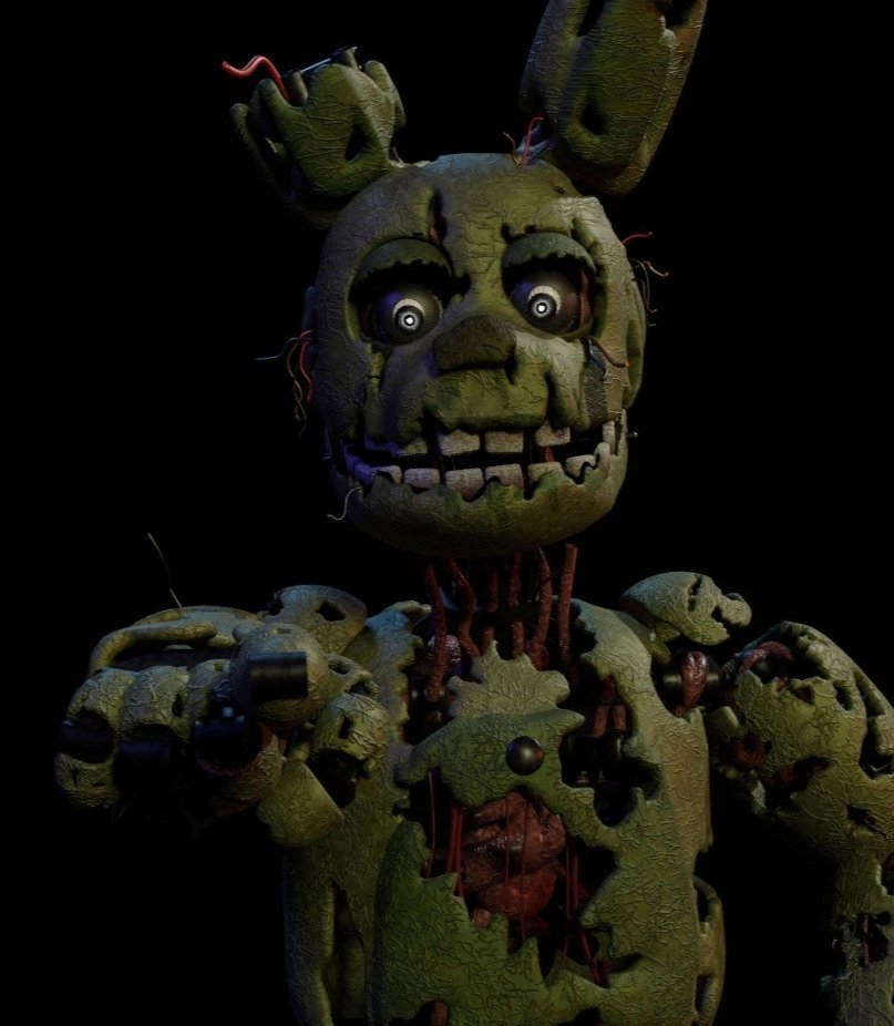 𝐒𝐩𝐫𝐢𝐧𝐠𝐭𝐫𝐚𝐩 tweet media