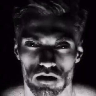 con 🌲 tweet media