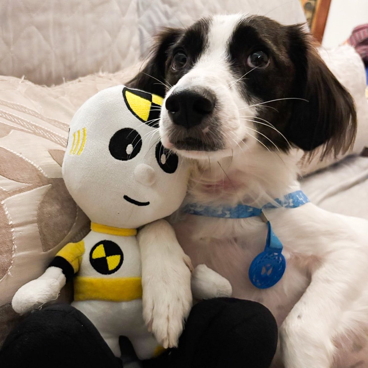 reduzam a qualidade em 200% pra gente ter mais um estático perfeito beijoqueiros