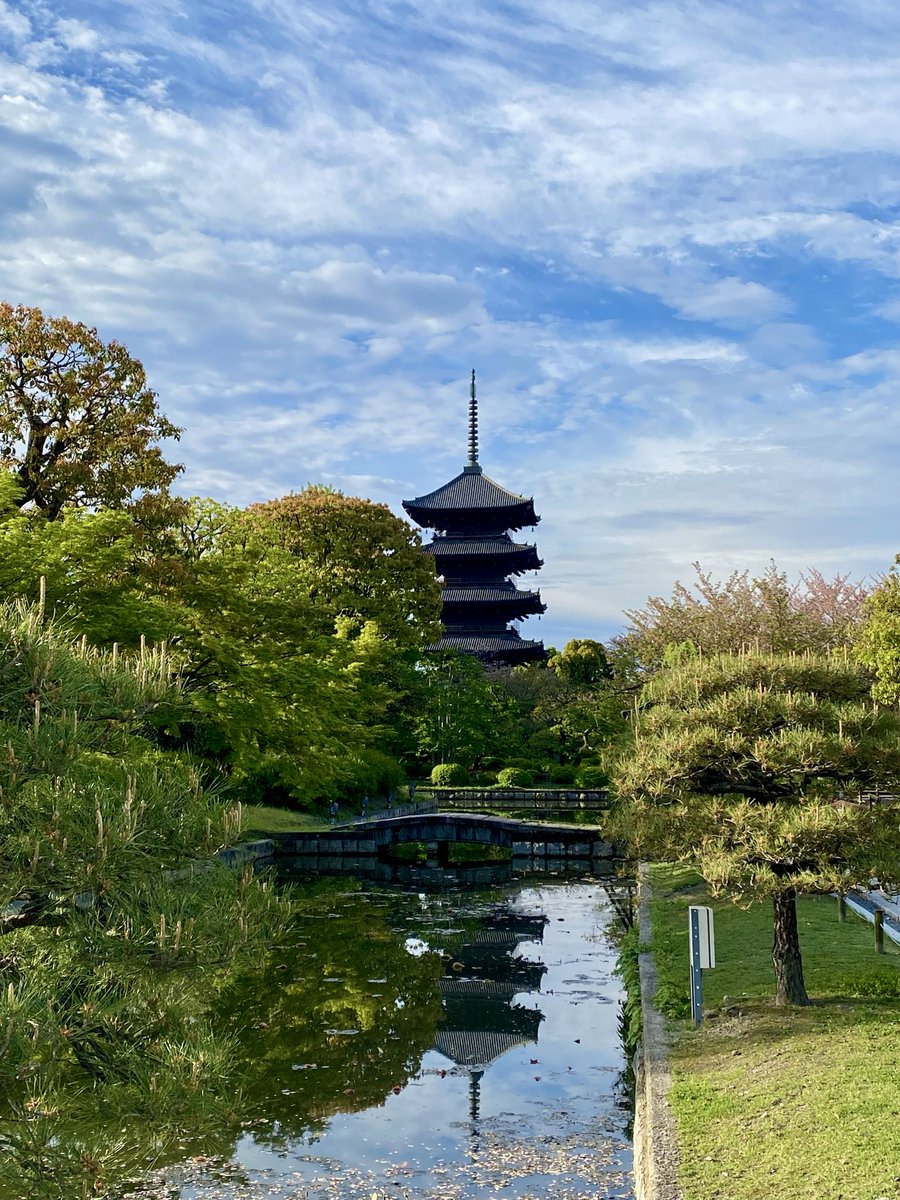 しりぼっち tweet media