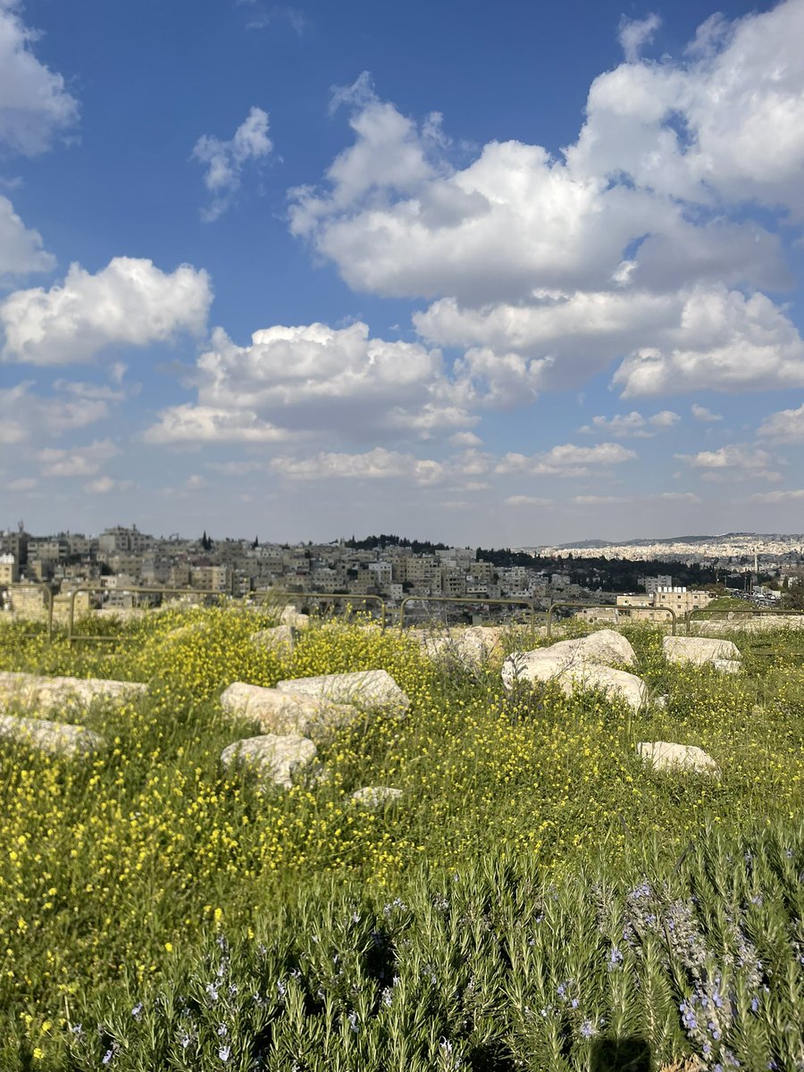 kholoud tweet media