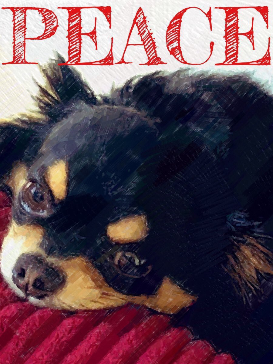 yasu6966_'s tweet photo. #PEACE🐶
4/13〜4/19
スケジュール🎼 https://t.co/m5swQbjBBN