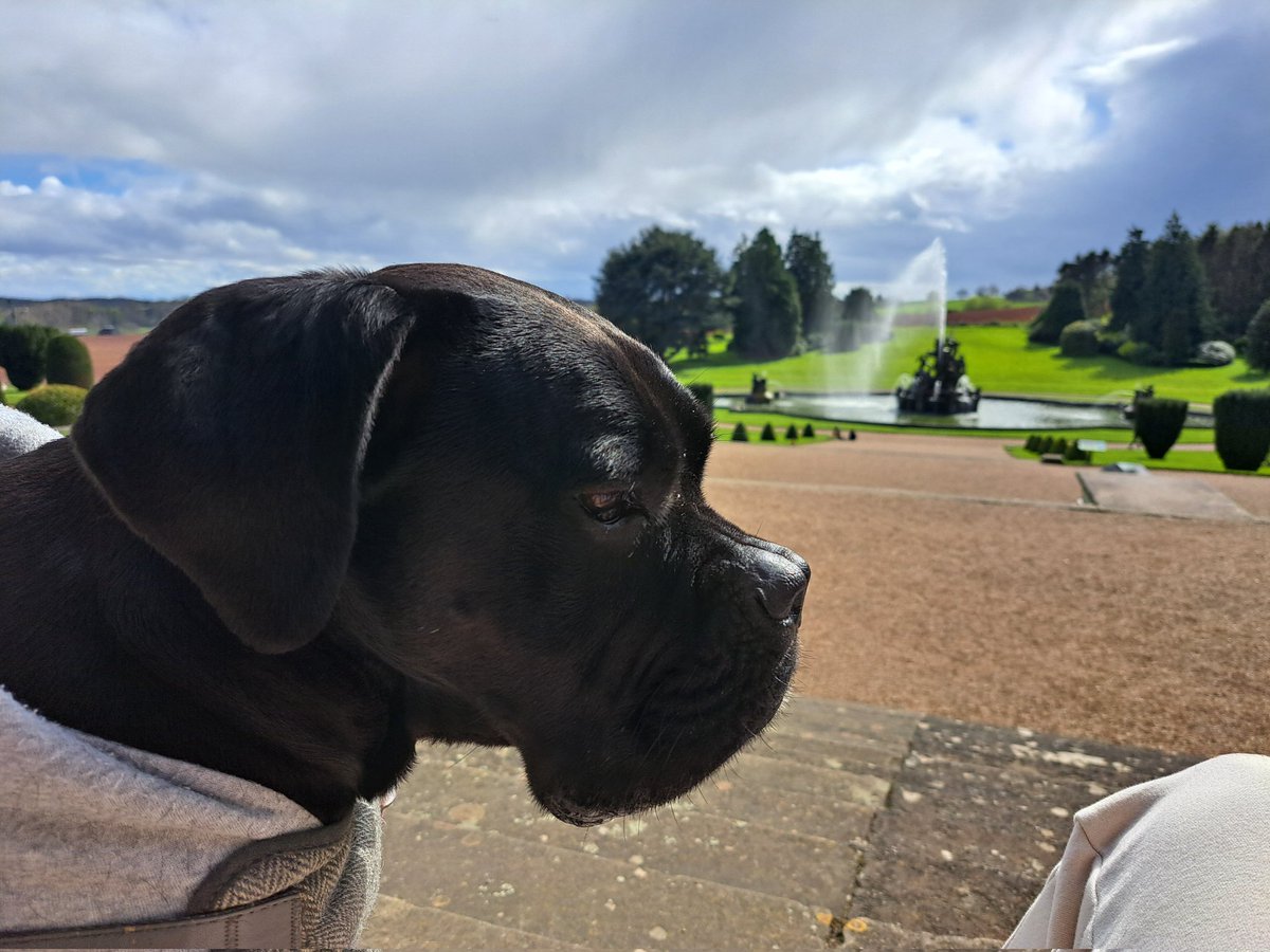 kayryan_'s tweet photo. She didn't care for the view at all https://t.co/cScFmUymjm