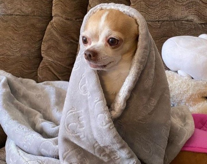 Sarcastic Geek tweet media