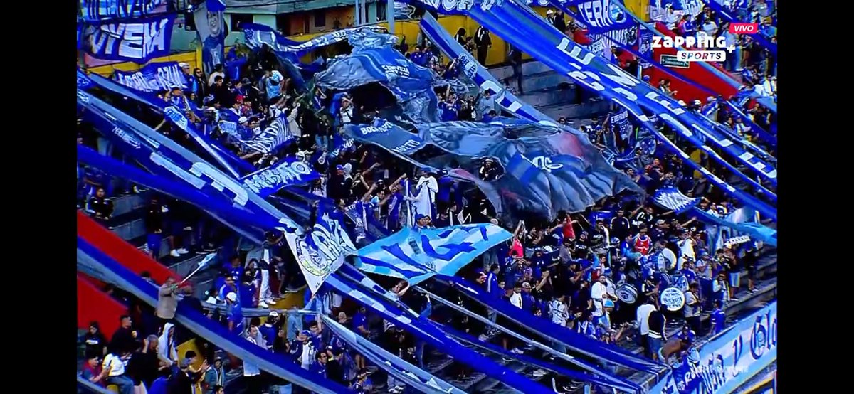 calvocorrupto tweet media