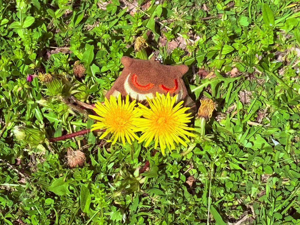 すずゆぅ🥕🦉🍞 tweet media