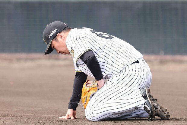 熱凶的🐯党 tweet media