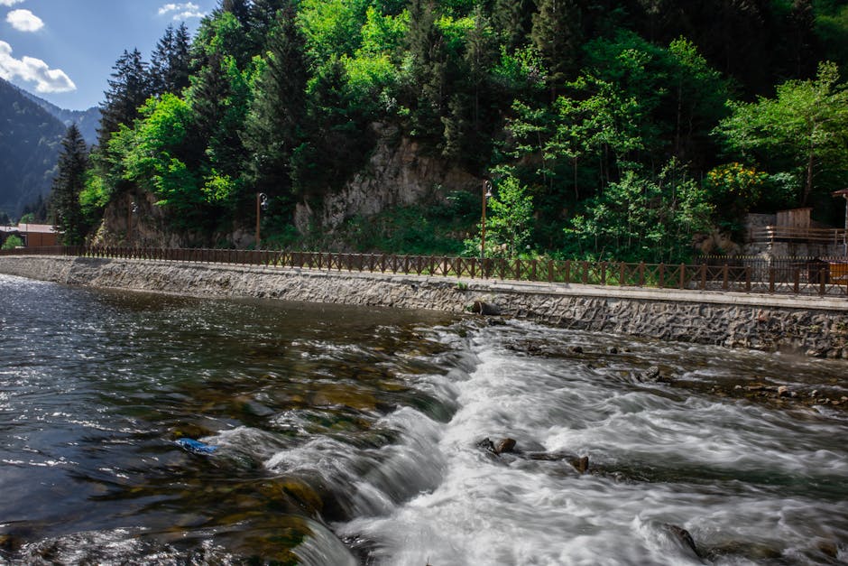 Amber Rios tweet media