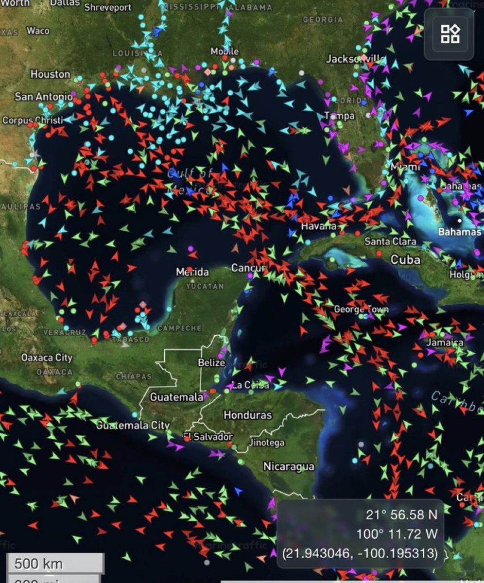Numberonepal🐝 tweet media