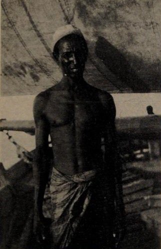 The Prodigal Son tweet media