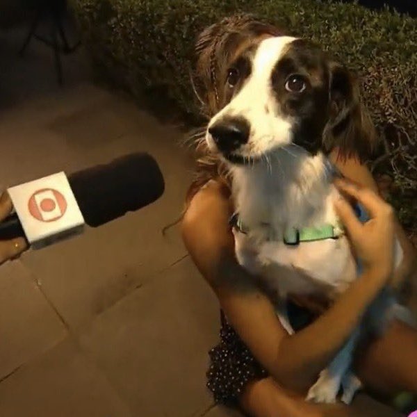 roberta🍍💋 tweet media