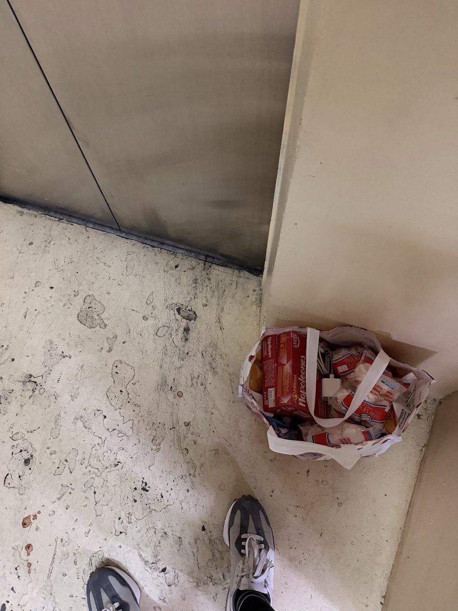 The Curious One tweet media