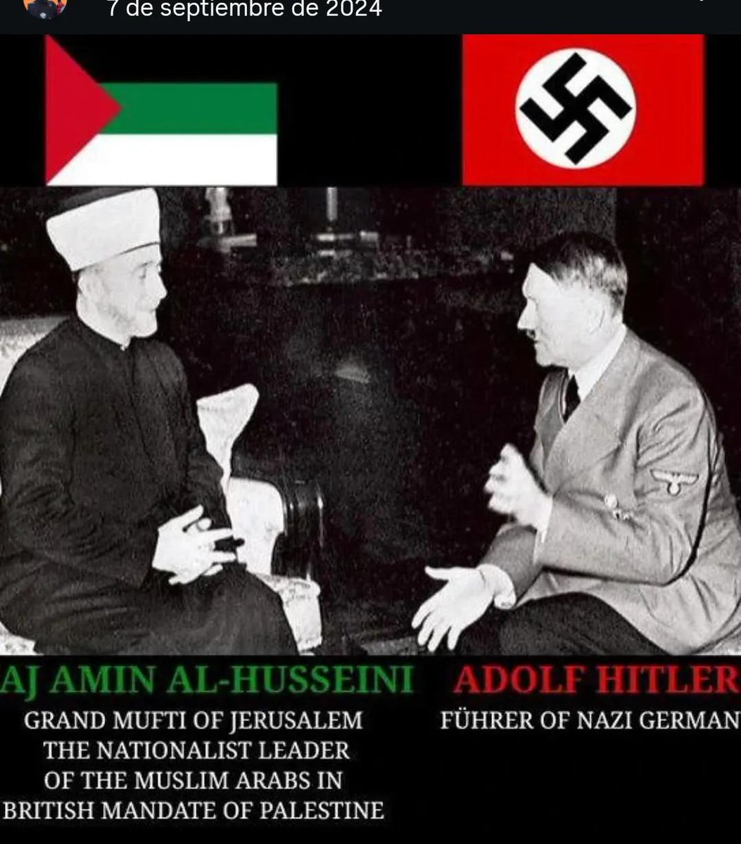 lamparita comesueños 🗿 tweet media