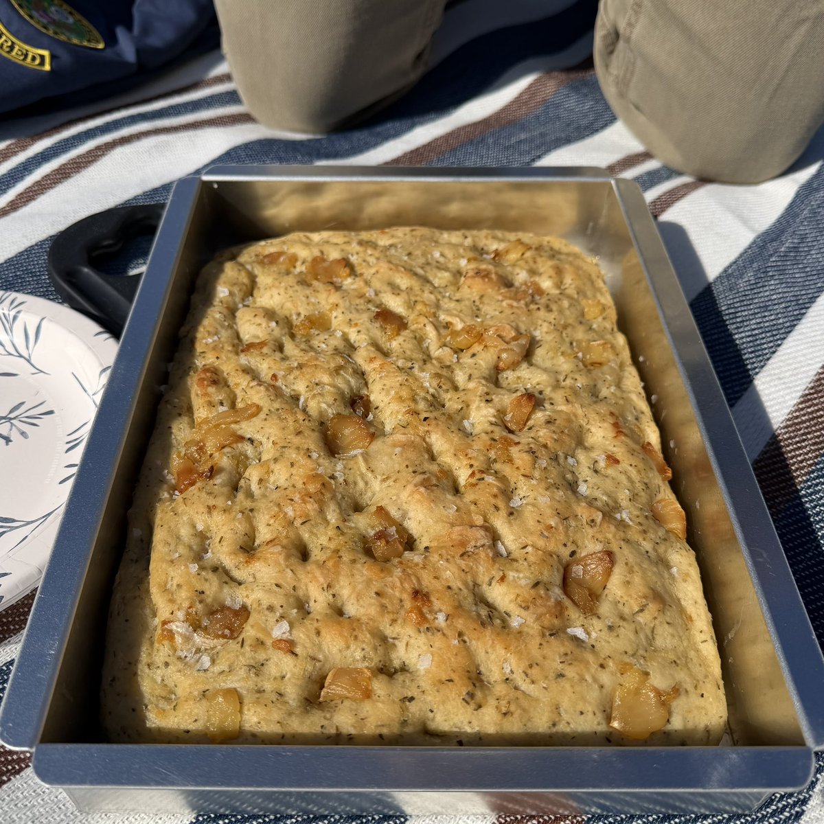 MrJoePiro's tweet photo. gay guy focaccia in the park https://t.co/DO48bJRBhP