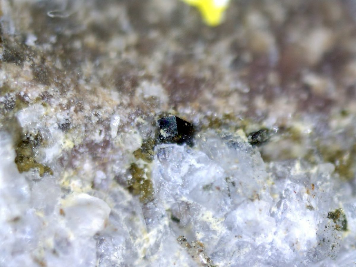 KolTolspmin's tweet photo. Vanadomalayaite
Gambatesa Mine, Reppia, Ne, Italy (TL)
FOV3mm

黒茶色の透明な結晶が本鉱。鉱物名の通り、MalayaiteのSnがVに置き換わった組成を持つ鉱物です。Malayaiteは日本でも産出するため、国内の知名度がありますが、本鉱の産出は原産地のみのためとてもマイナーな鉱物です。 https://t.co/vMLtiSTwgl