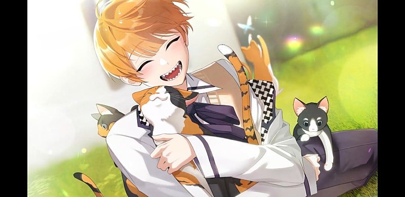 시로🧊 tweet media