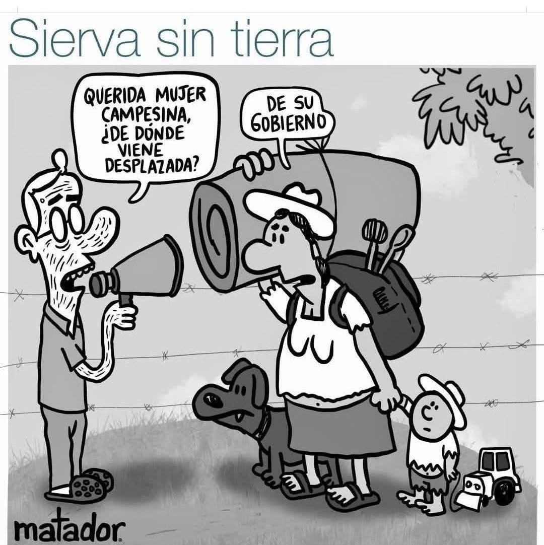 Feminismo electolero tweet media