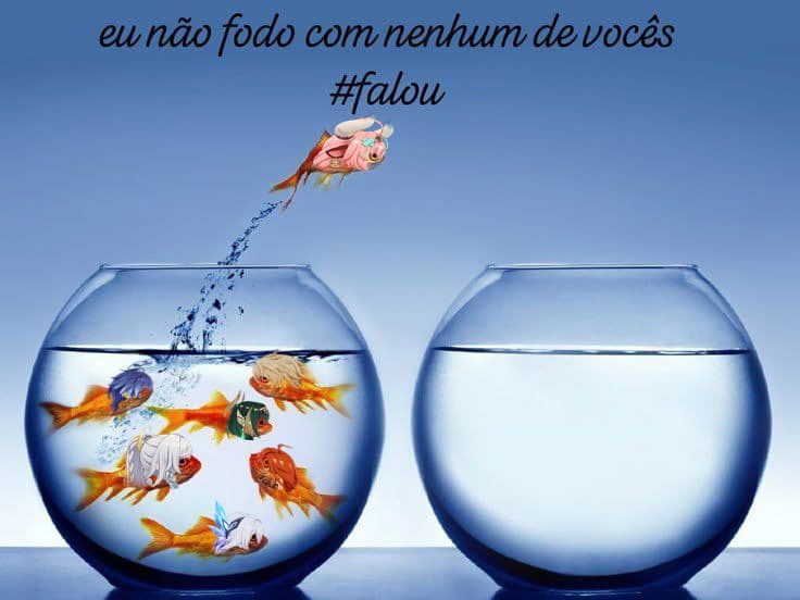 senhor biruca tweet media