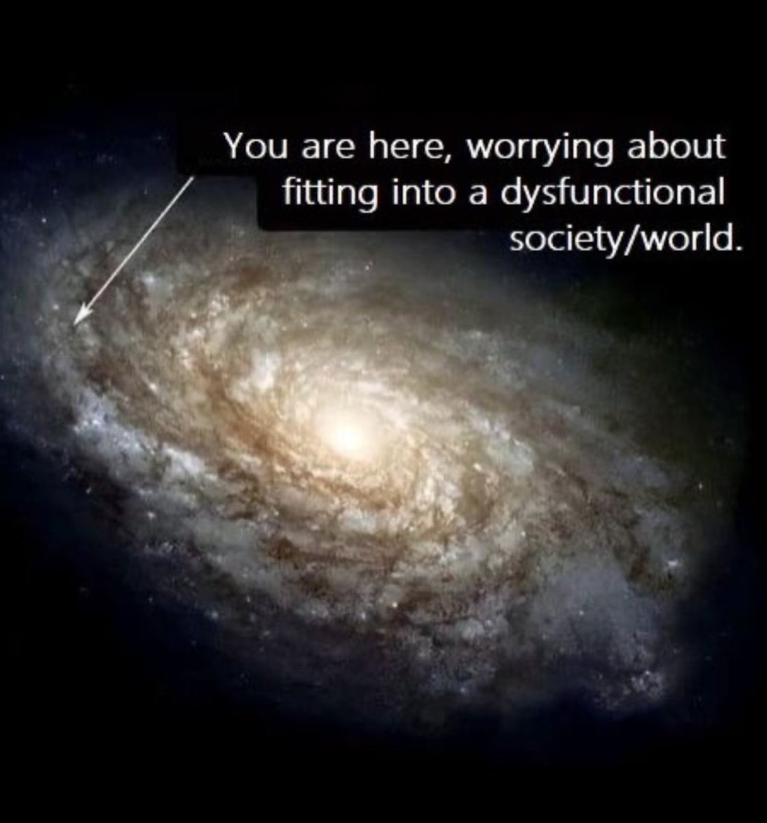 Mind Essentials tweet media