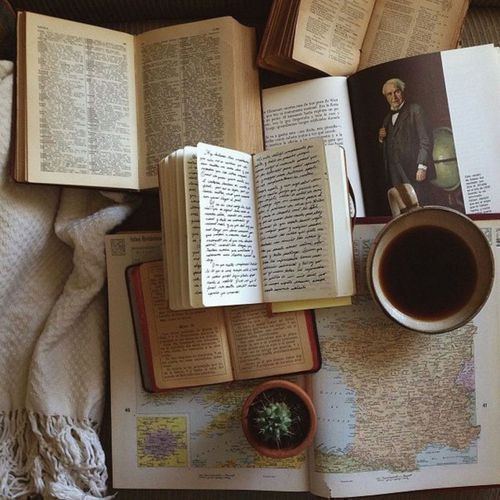 noveliciouss's tweet image. A life without books is a thirsty life, and one without poetry is… like a life without pictures. 
~ Stephen King
#writing #reading