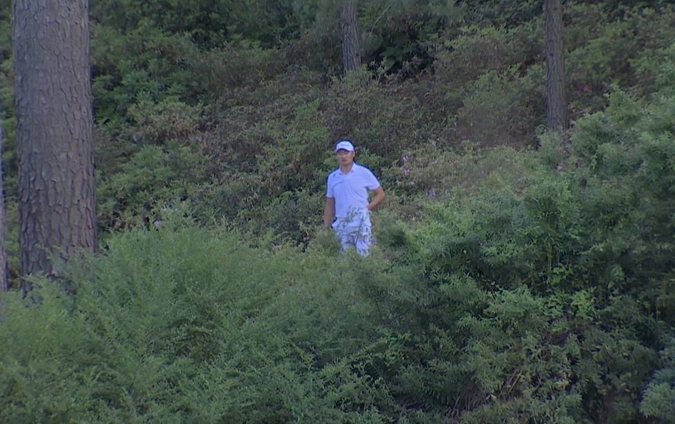 Domain Shane | Winterline tweet media