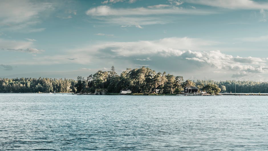 Adrian Potter tweet media